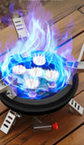 Portable Gas Stove 16000W High Pressured Propane Butane Gas